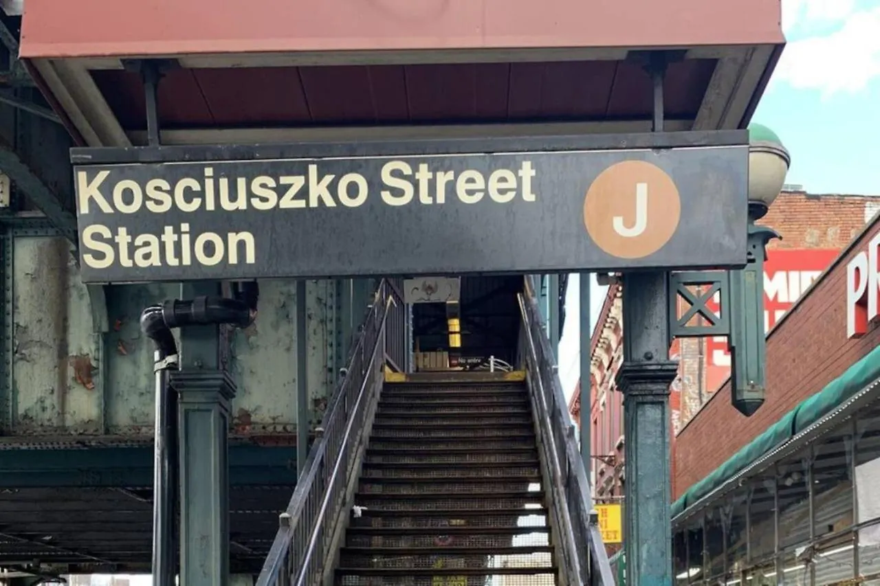 Renovated 3Br With Private Backyard In Bed-Stuy Apartment New York